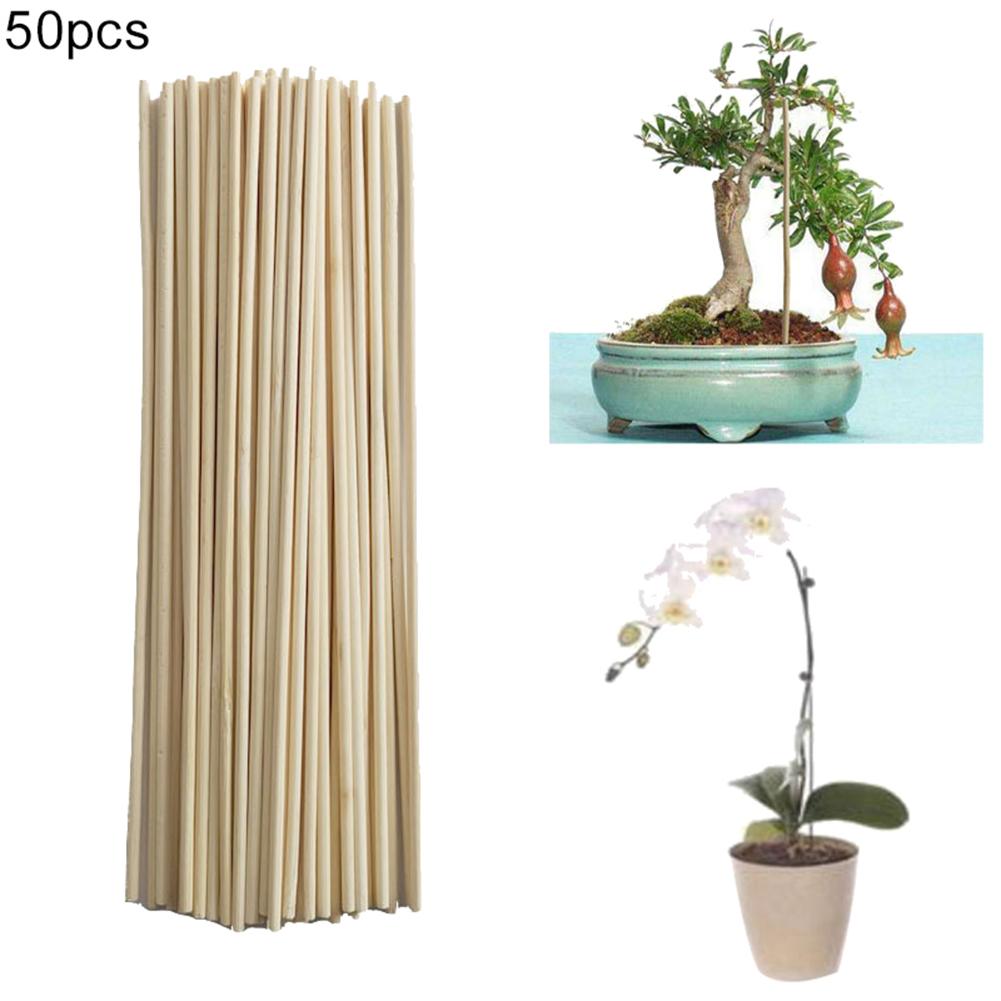 50 st bambu växt växa stödpinnar trädgård krukväxter blommor sockerrör verktyg