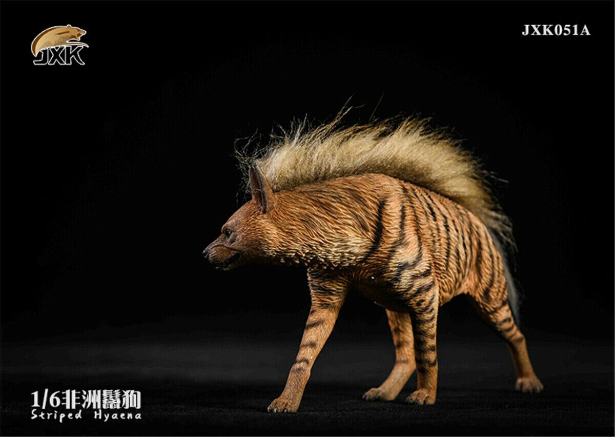 JXK 1:6 Scale Africa Striped Hyaena Figure Dog Hyaenidae Animal Collector Toy Resin Decoration