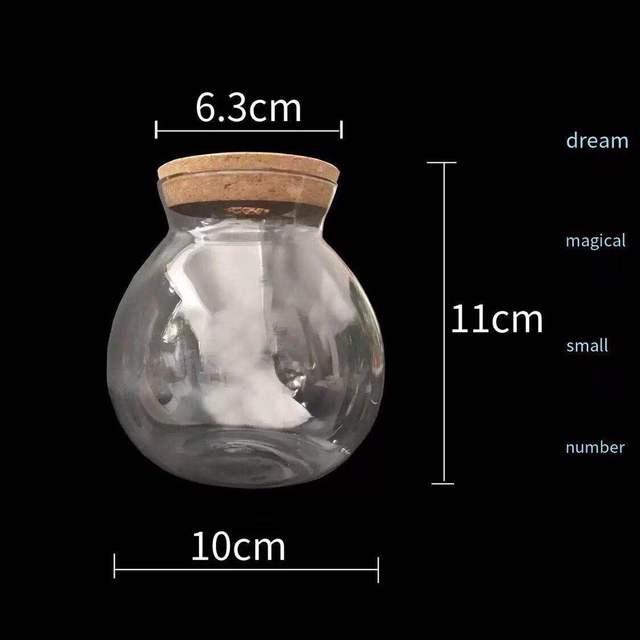 Acuario pequeño para peces, botella ecológica de vidrio para paisajismo, mirador, accesorios para acuarios: Empty bottle S