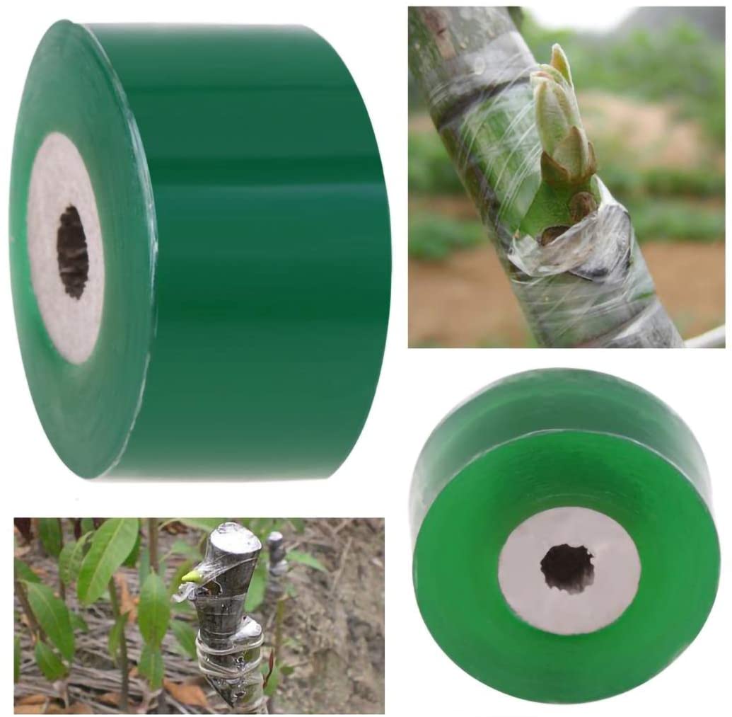 Lot De 2 Rubans De Greffage Pour Arbres Fruitiers De 20 Mm De Large Barriere Anti Humidite Biodegradable Fleuriste Transparent Extensible 91533563 Lot De 2 Rubans De Greffage Pour Arbres Fruitiers De 20 Mm De Large Barriere Anti Humidite Biodegradable Fleuriste Transparent Extensible 91533563