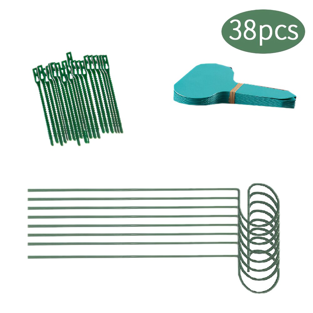 38Pcs Plant Support Stakes, Garden Single Stem Support Stake Plant Cage Support Rings For Amaryllis Tomatoes Orchid Lily Peony