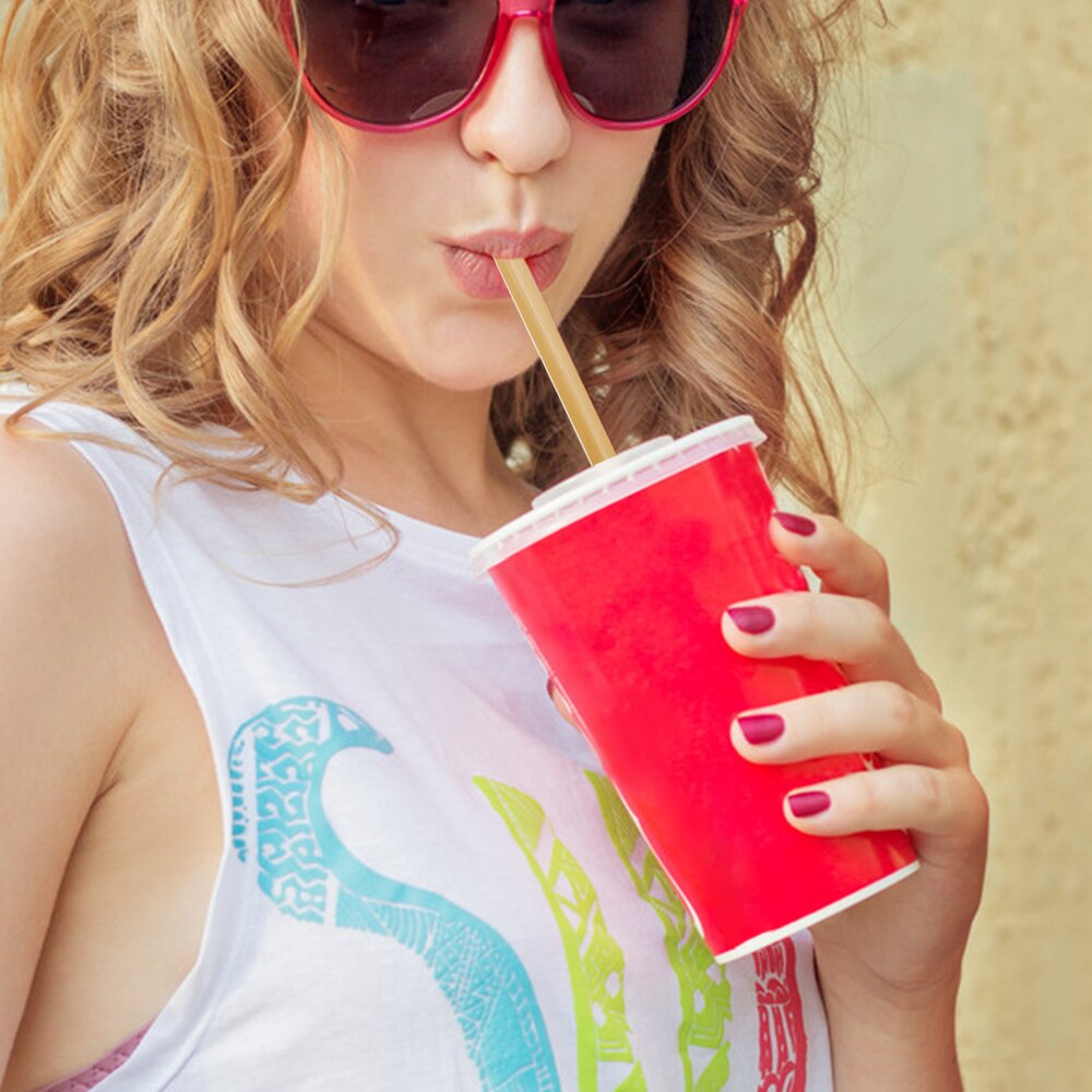 Eco-friendly Natural Bamboo Straws, Sustainable Bamboo Reusable Straws, with Straw Cleaner and Paper Box, 10pcs