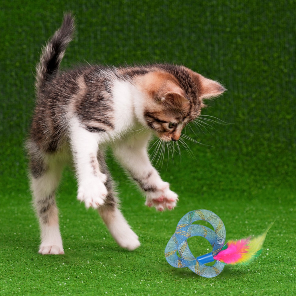 1Pcs Leuke Kat Voorjaar Speelgoed Veer Kat Speelgoed Veer Outdoor Interactieve Spelen Speelgoed Voor Kitten Huisdier Accessoires Veer Kat speelgoed