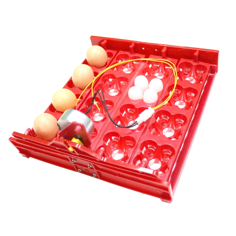 Incubadora de codorniz de 16 o 64 huevos de aves, bandeja de huevos de giro automático, accesorios de incubadora de mano, incubadoras de laboratorio