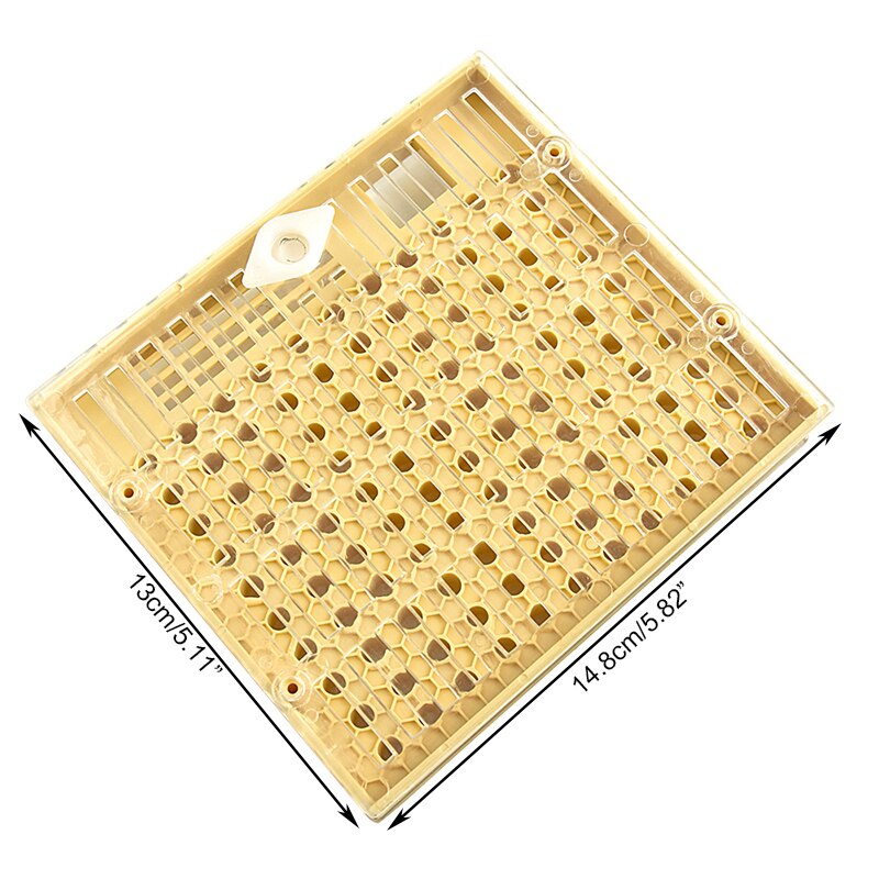 DLKKLB apicultura 1 piezas Nicot Abeja Reina cría sistema apicultura cultivar la reina sistema de caja de plástico de Nicot jaula herramientas Caja para Cultivar Abejas