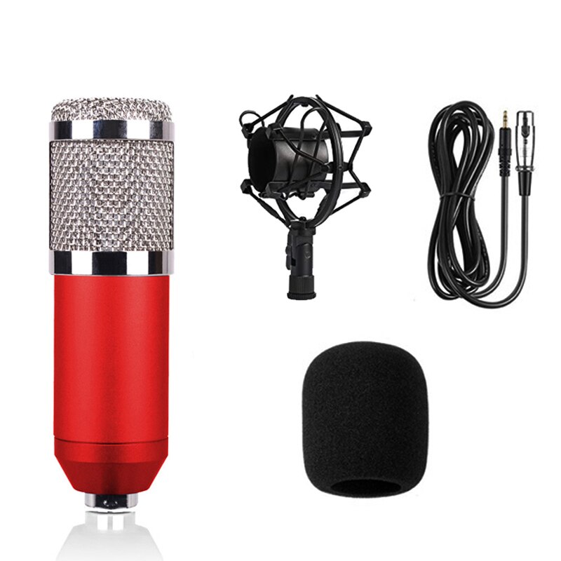 Condenser Microphone BM800 Kit Voice Recording Microphone for PC Mic Karaoke Microphone Sound Card Microphone Kit: Type 1