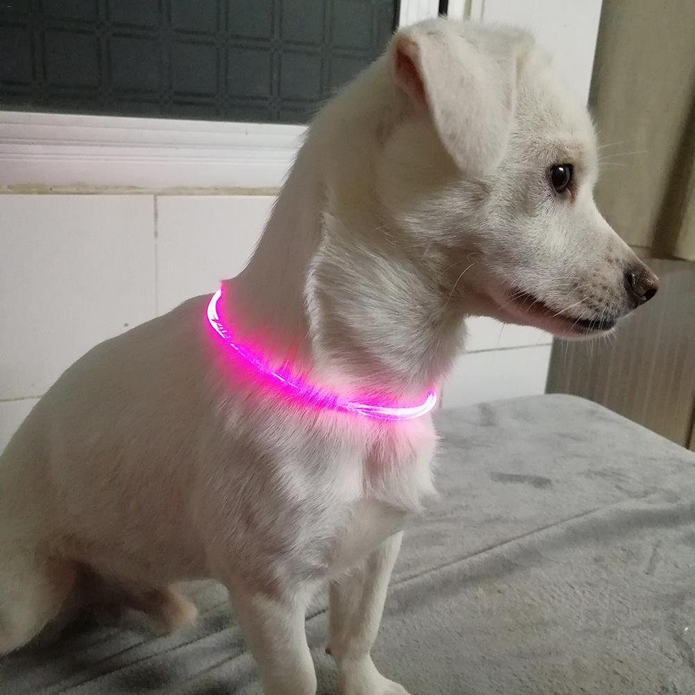 Pet Dog LED Licht Kraag Night Flashing Halsband Draagbare Hond Veiligheid Verstelbare Trekkabel Ketting