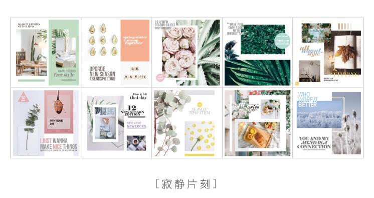 10 hojas de pegatinas de papel para decoración de viaje con Cactus y flores para alimentos, pegatinas para decoración de diario DIY, álbum de recortes: B