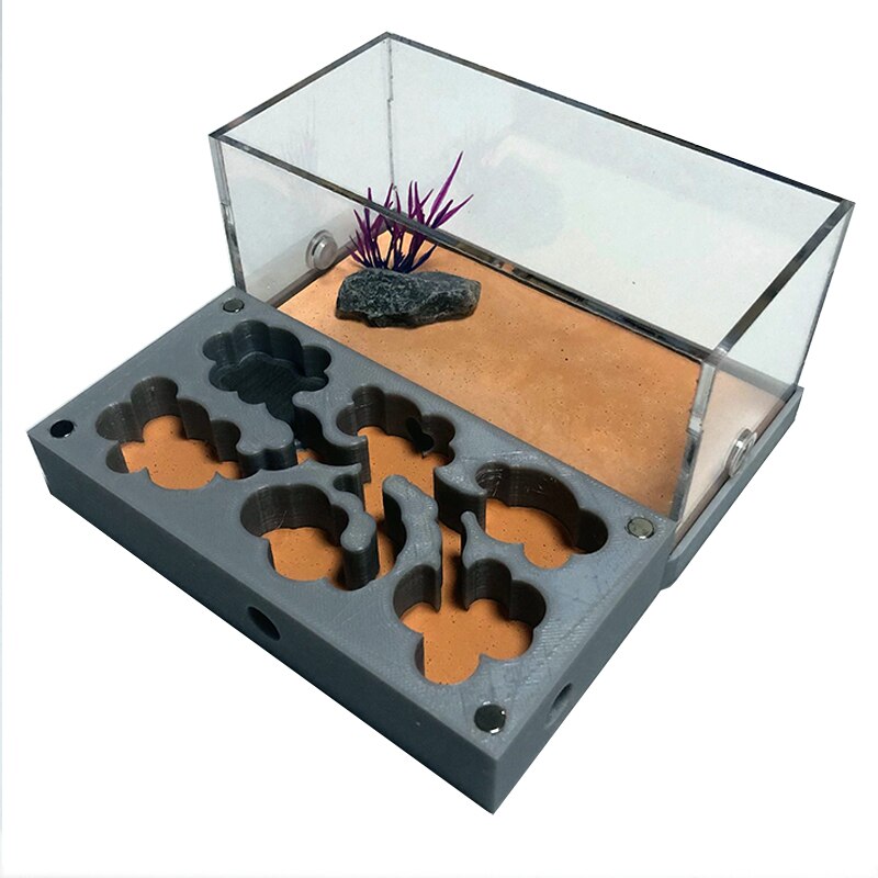 3D Afdrukken Platte Ant Farm Met Voeden Gebied Beton Ant Nest Met Drinker Sterk Hydraterende Mier Huis Huisdier Anthill Workshop: B
