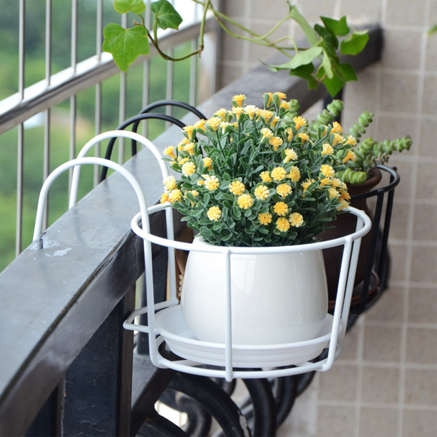 Mur en pot de plantes vertes charnues, balcon fleur T1, conflicence terrasse garde-corps stockage fer T1