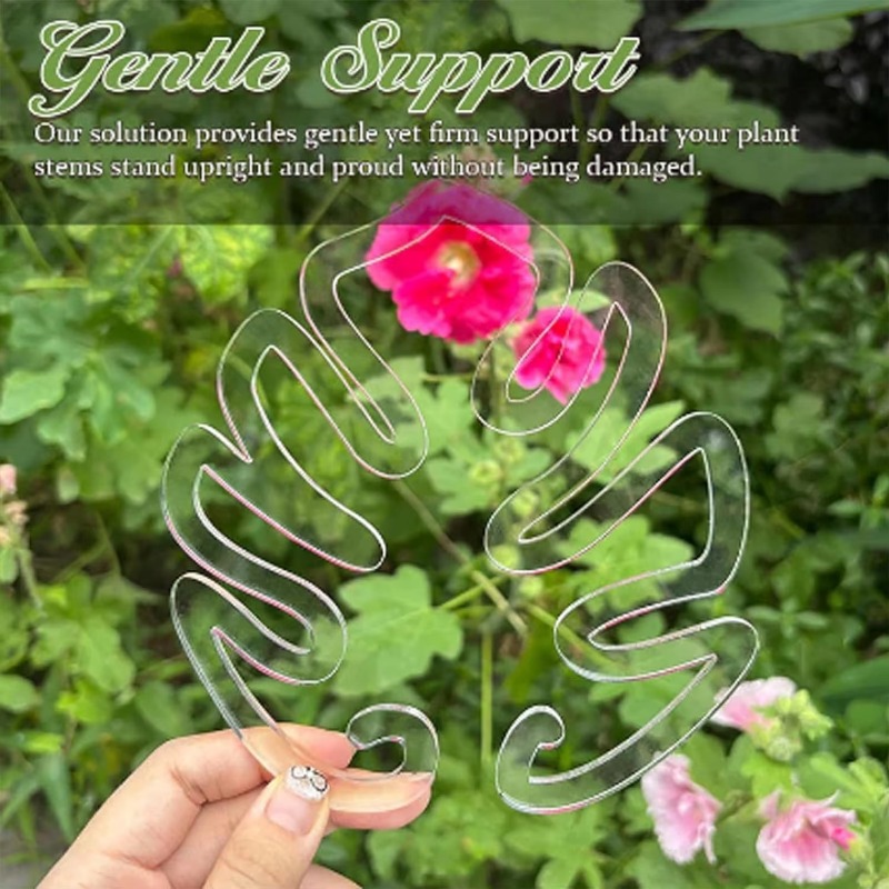 Turtle Shell Bamboo Clamp Set Monstera Grapple Plant Unique Aesthetic Monstera Plant Support Keeps Plants Tame Growing Vertical