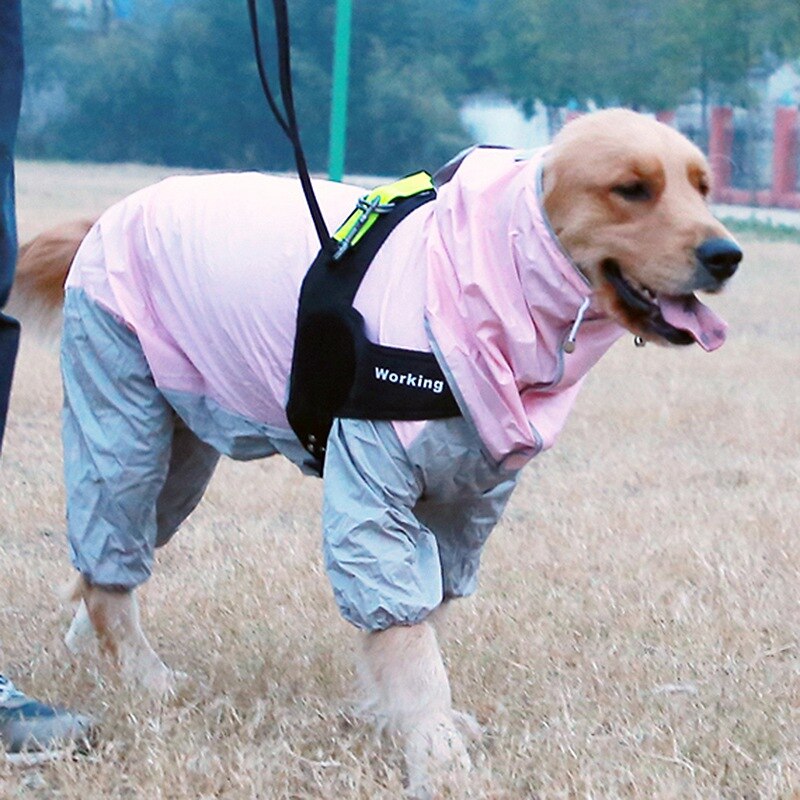 perro impermeable perro abrigo de lluvia impermeable Pet para grandes perros, Labrador Golden Retriever mono ligero abrigo para mascota