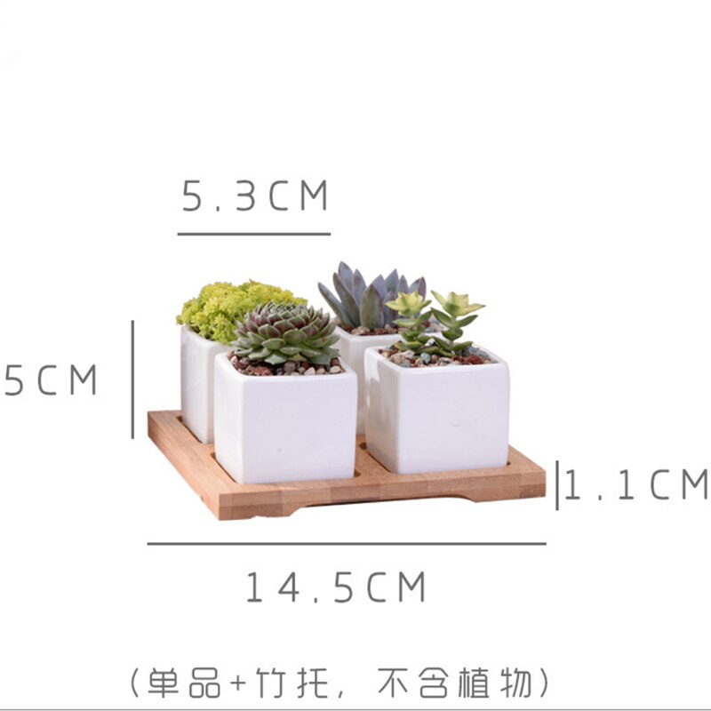 Macetero de porcelana de cerámica blanca minimalista para plantas suculentas, macetero de porcelana decorativo para escritorio, maceta para decoración del hogar, 1 olla + 1 bandeja: 06