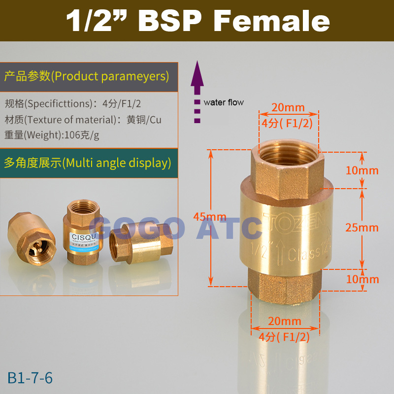 DN15/DN20/DN25 1/2 3/4 1 inch brass In-Line spring vertical check valve for Water meter female male one way valve
