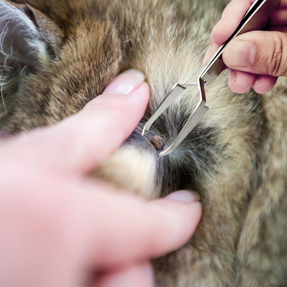 Tick Remover Tool Set Tick Hook Stainless Steel Pet Tick Hook Tick Picker Flea Removal Tool For Dogs Cats Flea Comb