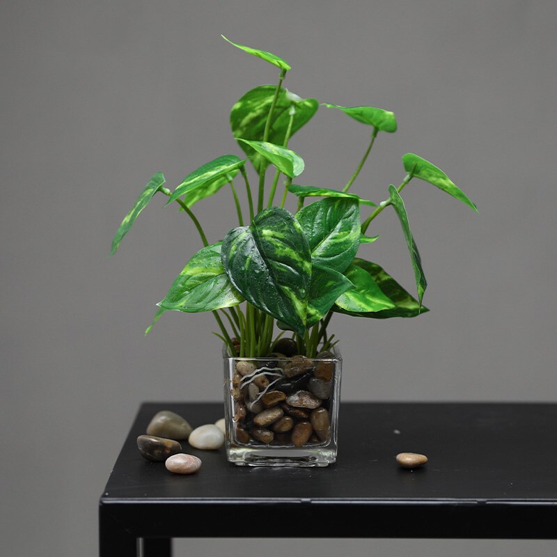 Erxiaobao kunstige planter med glaspotte simulation bonsai potteplanter placeret grønne firkløver hjemmebord vinduer dekoration: Epipremnum