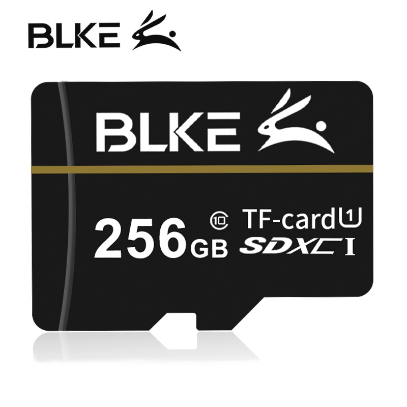 BLKE Micro carte sd 256GB 128GB 64GB 32GB 16GB 8gb carte mémoire Class10 U1 TF carte flash mémoire pour enregistreur de conduite de téléphone portable
