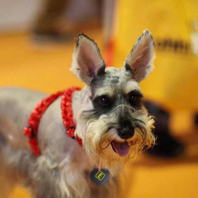 Wireless Electronic Key Finder Reminder With 5 Keychain Receivers For Lost Keys Locator Whistle Key Finder