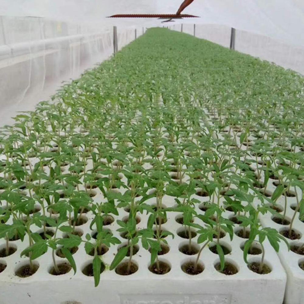 20x Cilinder Steenwol Plant Hydrocultuur Grow Media Grondloze Teelt Comprimeren Voor Tuin Kassen Tuin