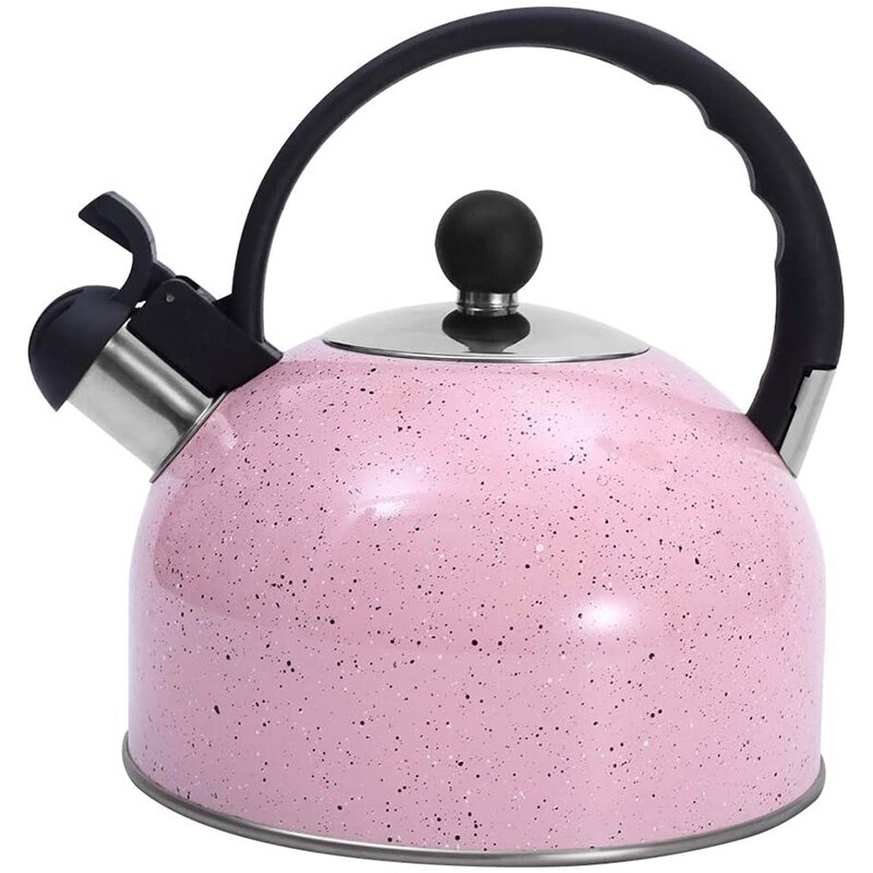 2,5 l groene roestvrijstalen fluitketel, lichtgewicht, compact en duurzaam, perfect voor kampeertochten, wandelen, koken, camping, kampvuur, barbecue, wandelvakantie, glamping, festival
