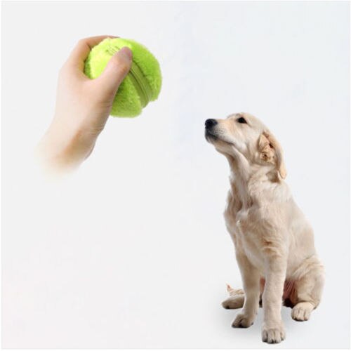 4 Color Set Pet Dog Magic Roller Ball Toys Automatic Roller Electric Plush Ball Magic Ball Dog Cat Pet Toy No Battery
