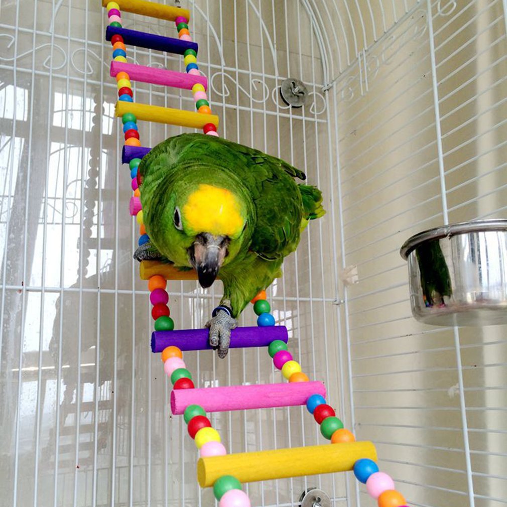 Vogels Huisdieren Papegaaien Ladders Klimmen Speelgoed Opknoping Kleurrijke Ballen Met Natuurlijke Hout Afrikaanse Grey Vogel Speelgoed Parkiet