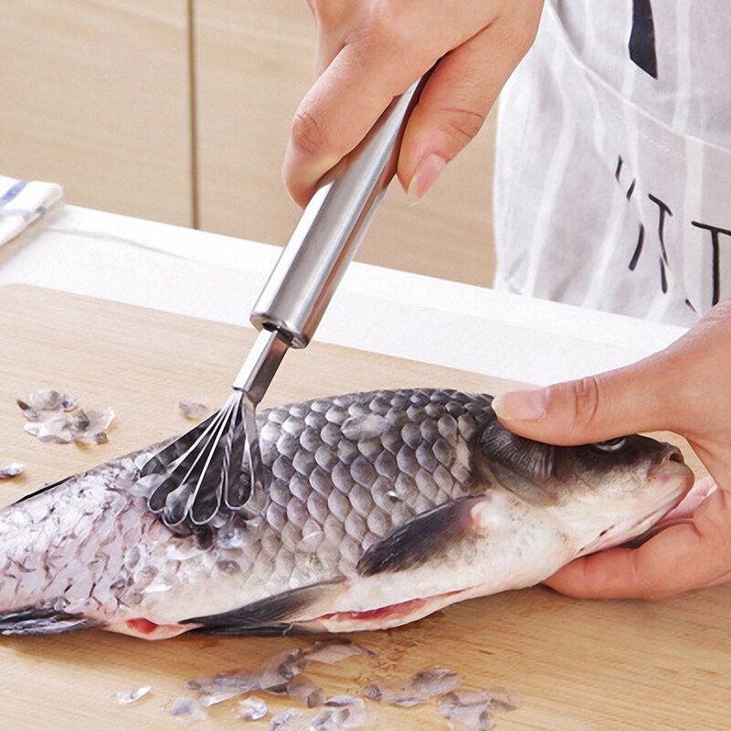 Kokosnoot Schraper Rvs Kokosnoot Vlees Removal Mes Coconut Rasp Vis Scaler Remover Fruit Gereedschap Keuken Accessoires