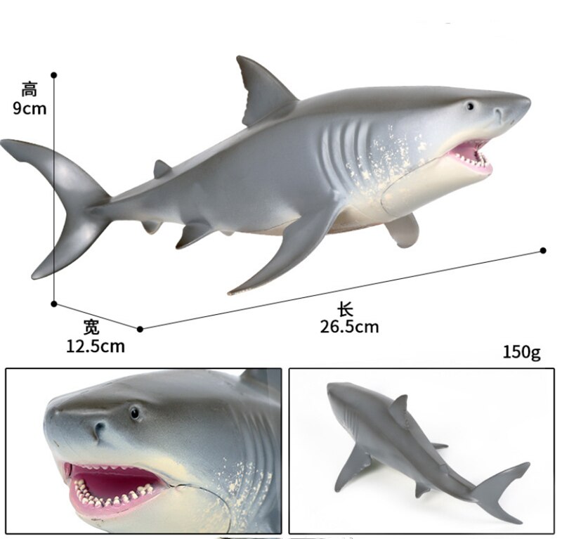 Grote Witte Zee Leven Shark Megalodon Tiger Shark Oceaan Dier Figuur Collector Speelgoed Onderwijs Onderwijs