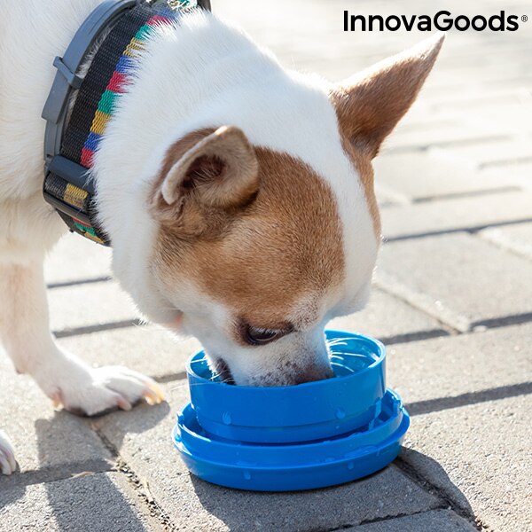 6- ud af -1 udtrækkeligt hundesnor konkurrerer med innovative varer
