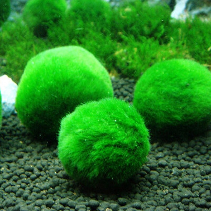 Artificial Moss Ball Fish Tank Aquarium Decor Ornament 2.5-4.5cm Natural Plants