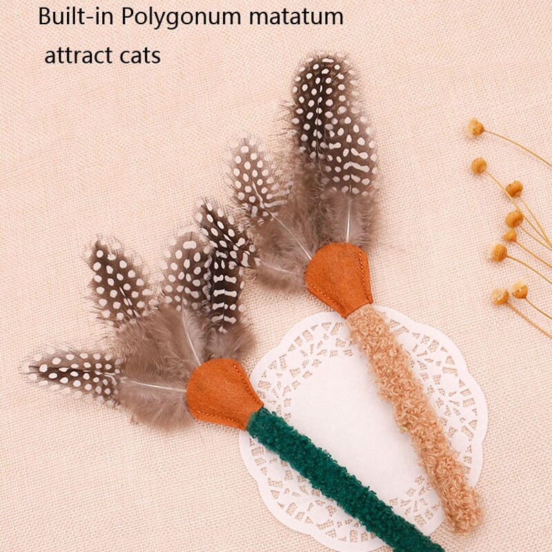 Casse-croûte bouche propre pour chat, jouet interactif, auto-soin, plume, poisson, chaton, Mutianliao, bâton de molaire de digestion