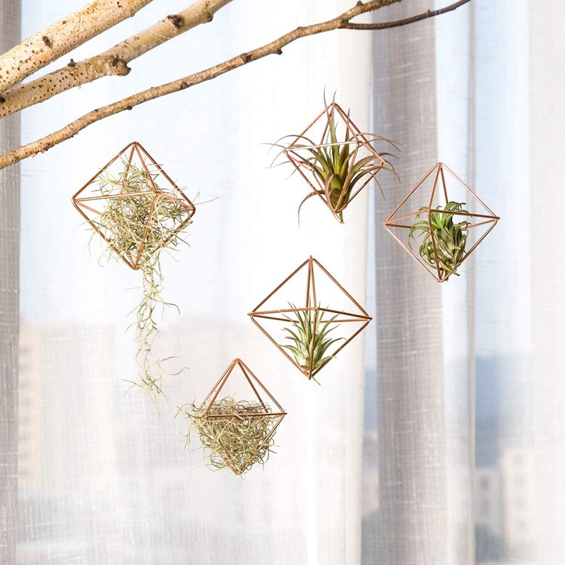 5 stk luftplanteholder mini metal bordpladeindretning moderne geometrisk planter tillandsia air fern display display dekoration