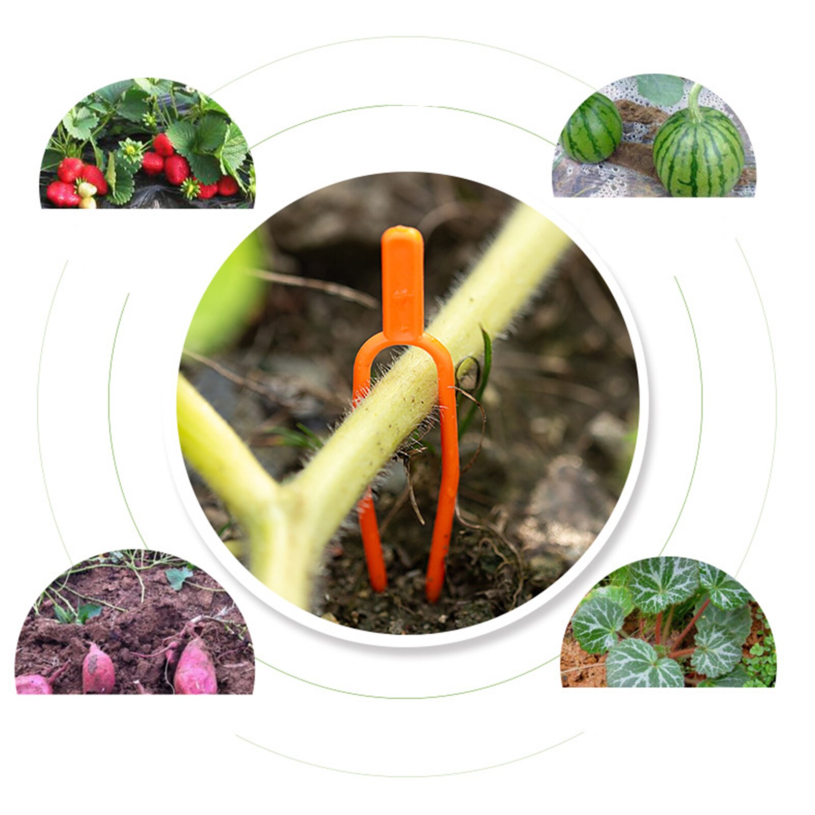 Anlage Clip 100 stücke Erdbeere Gabel Werkzeug Gartenarbeit Kunststoff 100 STÜCKE/einstellen Umwelt Orange Haltbaren Festen Leuchte Schellen