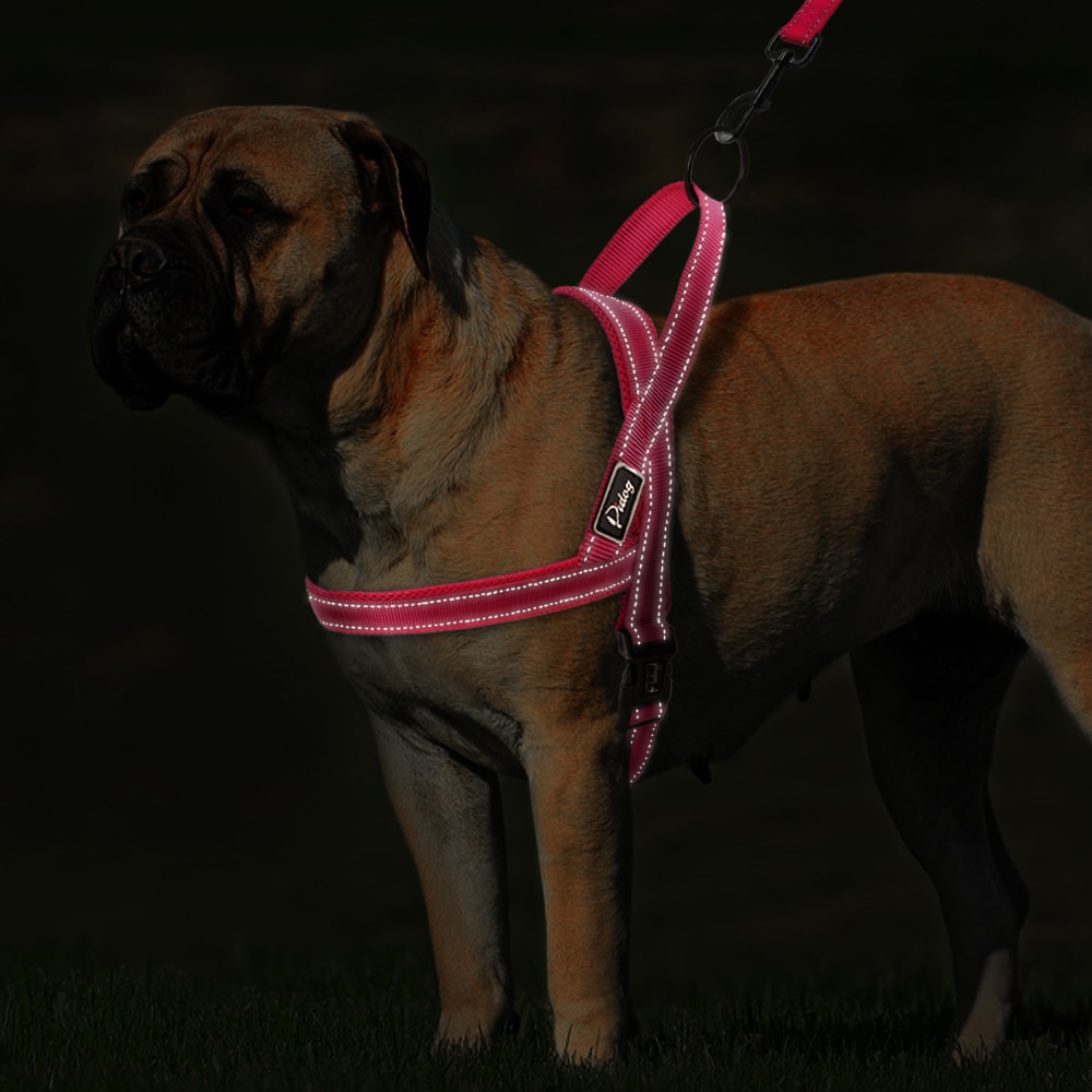 Conjunto de Correa y arnés reflectante sin tirones para perro, chaleco para mascotas de plomo para perros pequeños y grandes, Perfecto para el entrenamiento diario XXS-L caminar