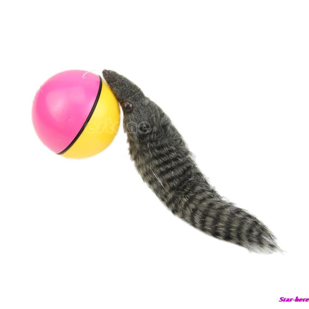 Belle boule de roulement motorisée par belette de chat de chien d'animal familier apparaît saut se déplaçant vivant jouet petits animaux jouets jouets mignons de boule d'animal familier