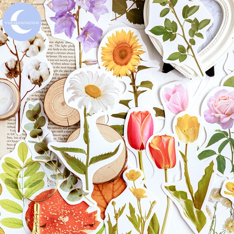 YueGuangXia Herbal Botany Series of Postcards Group Travel Invitation Greeting Ivory Card Wish Cards Office Stationery