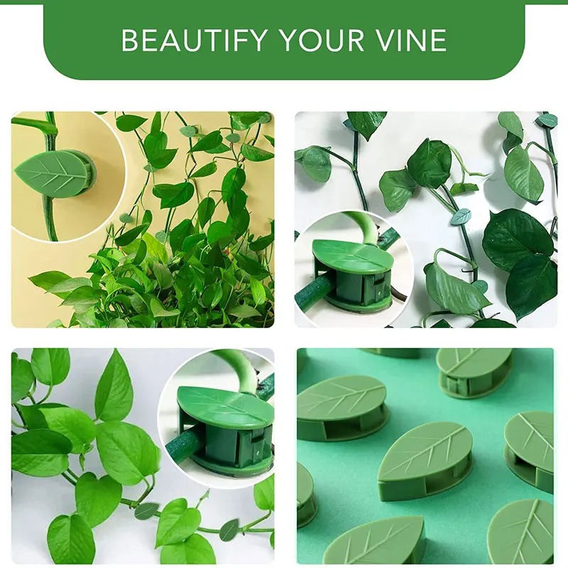 Clips de fijación de pared para plantas trepadoras, pegatina acrílica, gancho autoadhesivo, soporte de tracción para plantas y vid, decoración interior y exterior