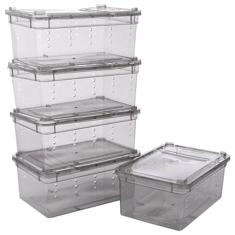 Caja de alimentación de serpiente pequeña para reptiles 10 Uds., tarántula de lagarto, jaula de hábitat, contenedor para incubar, Mini casas portátiles para mascotas