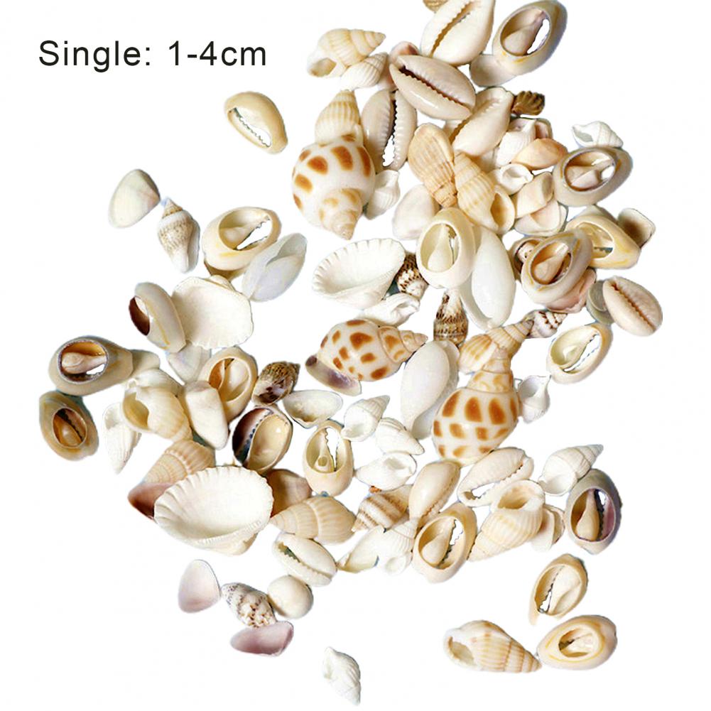 1 Bag Artifical Sea Shell Conch Coquillage Beach Decor Craft DIY Marine Style Fish Tank Seashells Cream Glue Epoxy Accessories