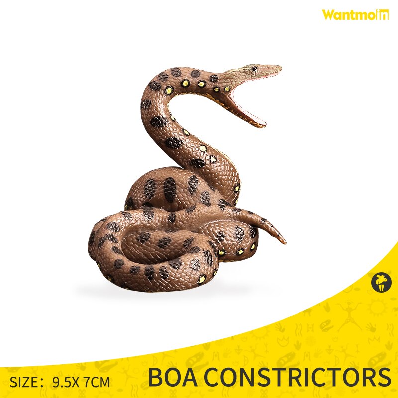 Wantmoin Een Effen Dier Model Set Van Twaalf Zodiac Ratten, Vee, Tijger, Konijn, snake En Pig Kinderen Speelgoed Cognitieve Model: Python