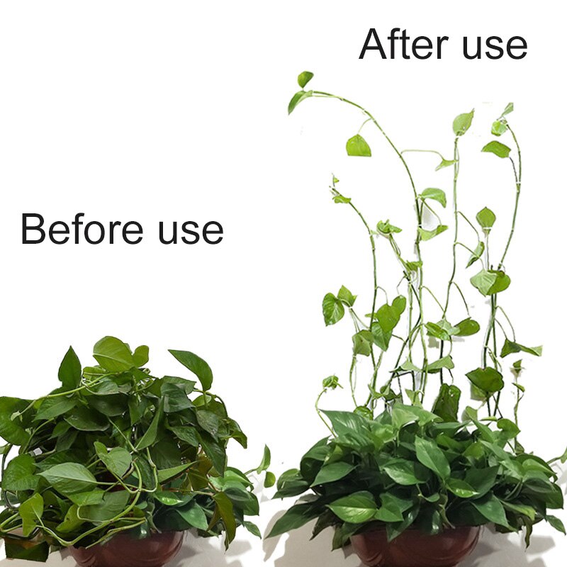 Plant Climbing Wall Clip Invisible Wall Vines Fixture Wall Sticky Hook Holder Plant Cages Plant Supports Clip Vine Clip