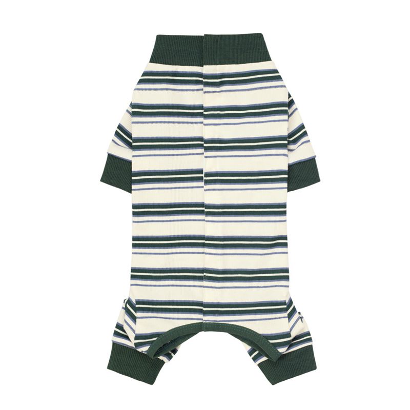 Combinaison pour chien, couverture complète, combinaison de récupération après chirurgie, body Anti-perte, pyjama clapant pour animaux de compagnie, pour petits, moyens et grands chiens: XS / Bleu