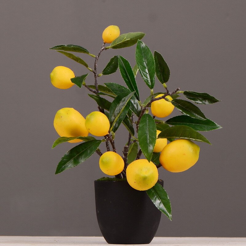 Flower Known Model Persimmon/Pomegranate/Lemon Small Pot Plant Indoor Home Green Plant Bonsai Decoration: Lemon  Yellow