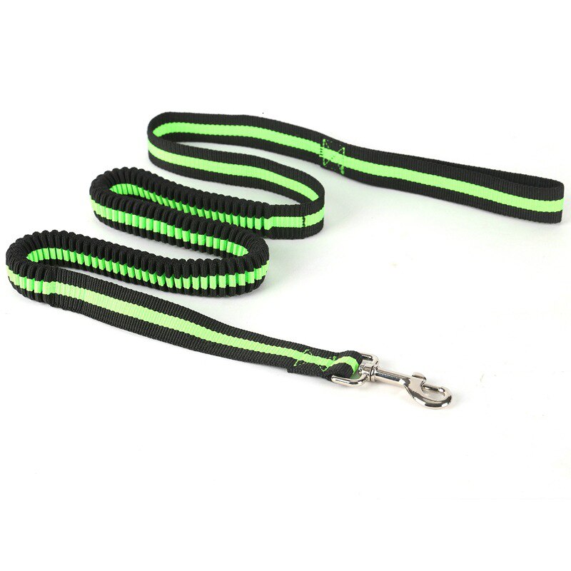 Benepaw højelastisk bungee hundesnor stærkt reb letvægts quick release nylon hvalpe hundesnor til små mellemstore hunde: Grøn
