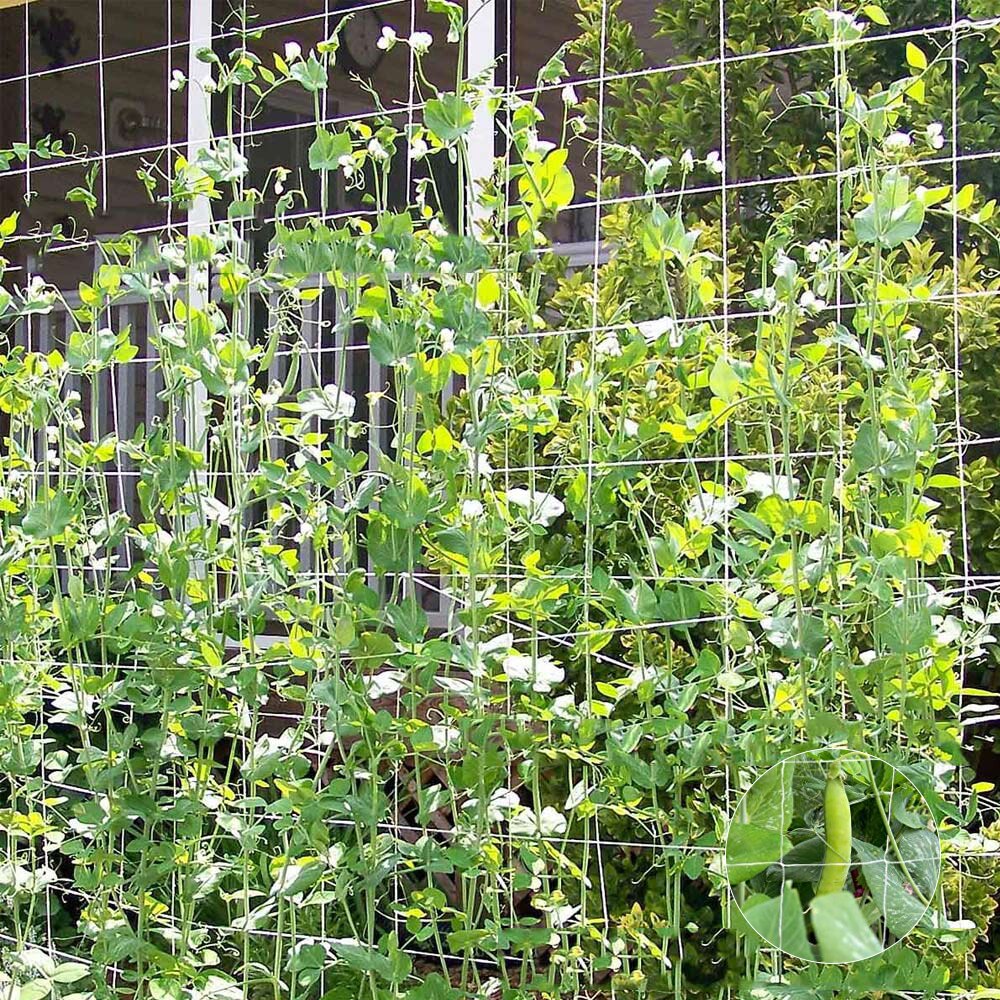 Polyester Mesh Net Loofah Netting For Morning Glory Vine Flowers Garden Plants Climbing Net Cucumber Vine Grow Holder 5/10m