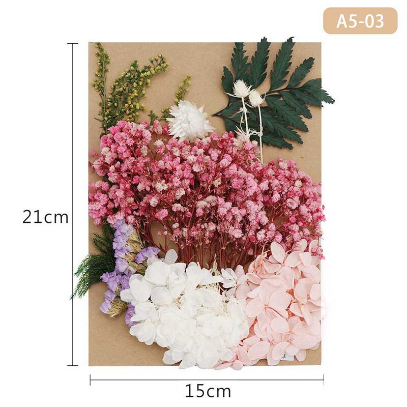 Fleur pressée mélangé fleurs séchées matériel pour bricolage aromathérapie bougies carte de voeux époxy artisanat boucles d'oreilles FAS6: Cuivre