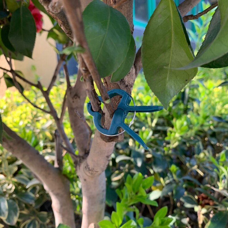 80 stuks tuinplanten vaste clip wijnstokken druiven steun bevestiging groenten bloemen stropdas gesp klem beugel