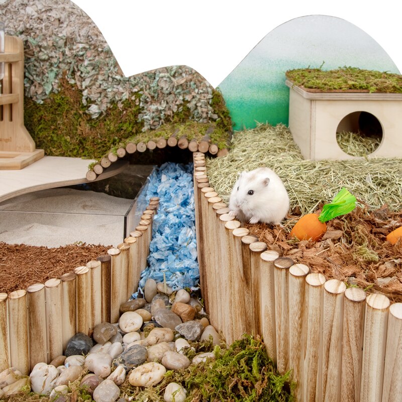 Pont de Hamster en bois, jouets suspendus, ours doré, cochon d&#39;inde, Tunnel d&#39;escalade, jouets à mâcher molaires, fournitures pour petits animaux