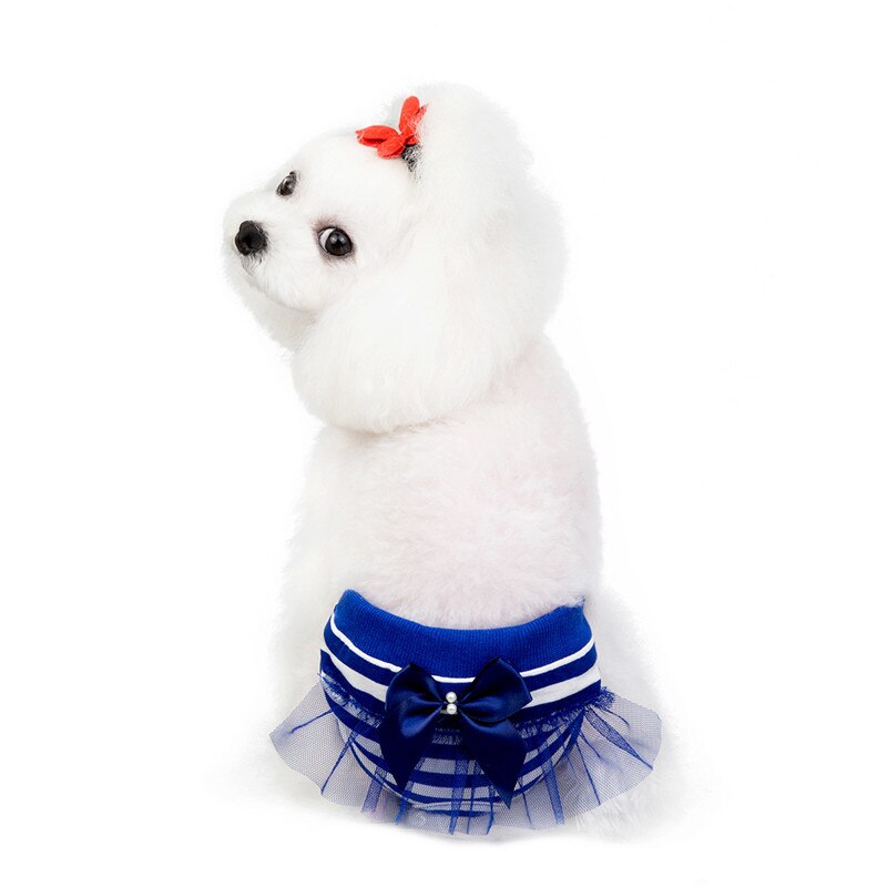 Kvinnelig kjæledyr hund valp bleie bukser fysiologisk sanitær kort truse bleie undertøy