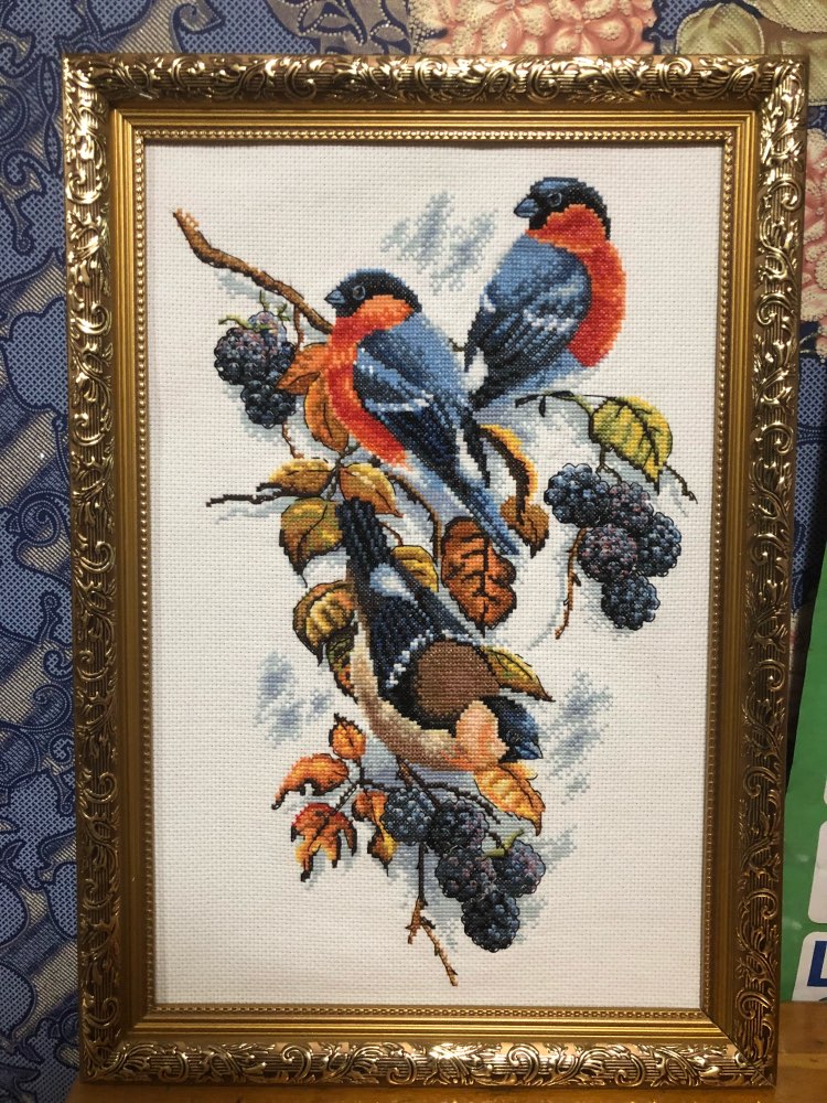 Røde mager skjærer og bjørnebær korsstingsett aida 14ct 11ct count print lerretssting broderi håndlaget håndarbeid